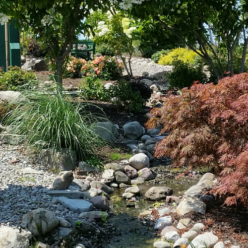 Water Feature Stream