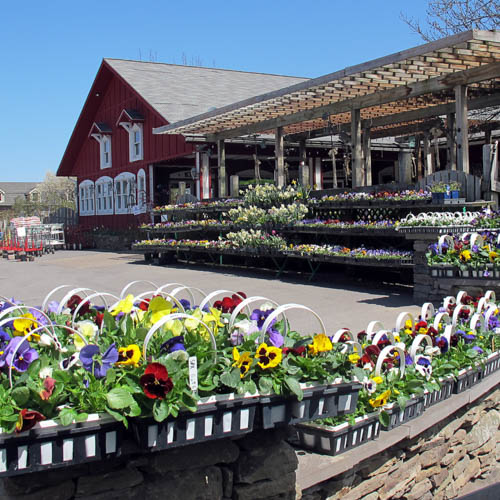 Flower Shop Rochester