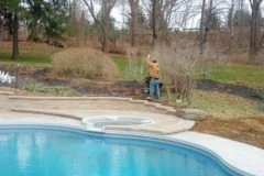 Backyard Pool Maintenance